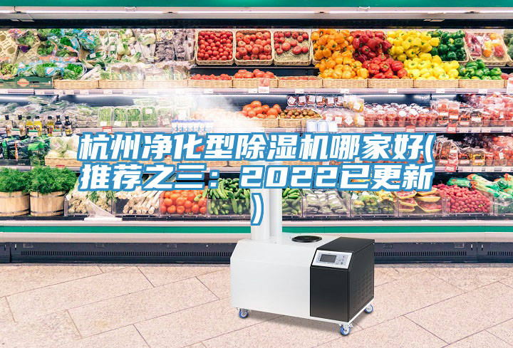 杭州凈化型除濕機(jī)哪家好(推薦之三：2022已更新)