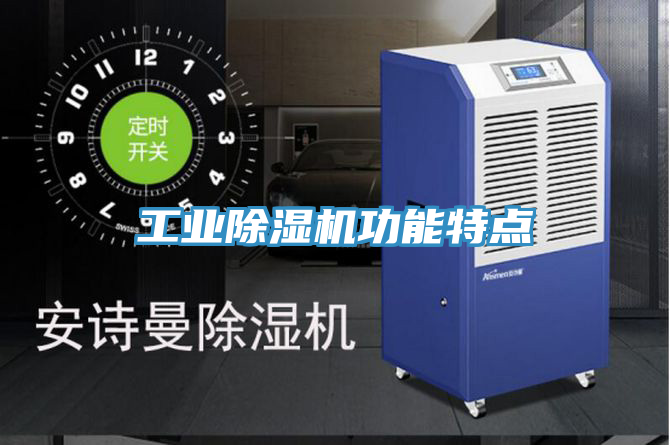 工業(yè)除濕機(jī)功能特點(diǎn)