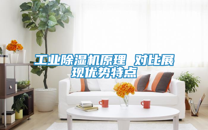 工業(yè)除濕機原理 對比展現(xiàn)優(yōu)勢特點