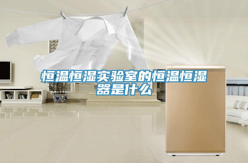 恒溫恒濕實驗室的恒溫恒濕器是什么