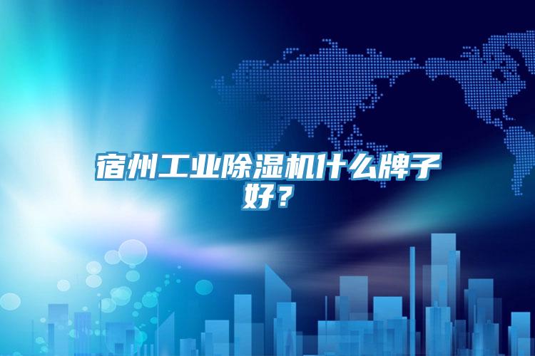 宿州工業(yè)除濕機(jī)什么牌子好？