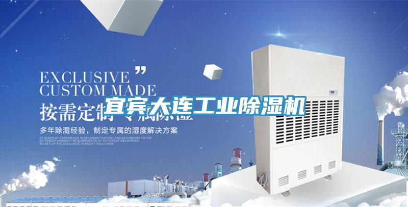 宜賓大連工業(yè)除濕機(jī)