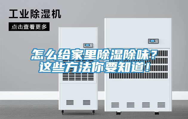 怎么給家里除濕除味？這些方法你要知道！