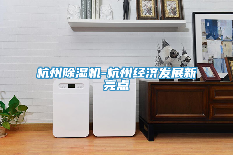 杭州除濕機(jī)-杭州經(jīng)濟(jì)發(fā)展新亮點(diǎn)