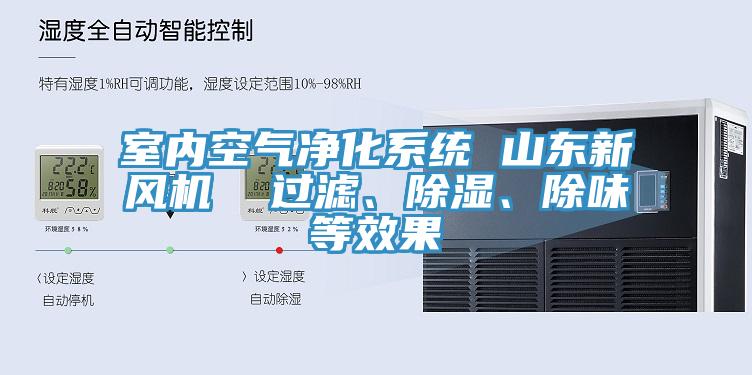 室內(nèi)空氣凈化系統(tǒng) 山東新風機  過濾、除濕、除味等效果