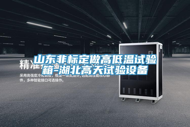 山東非標(biāo)定做高低溫試驗(yàn)箱-湖北高天試驗(yàn)設(shè)備