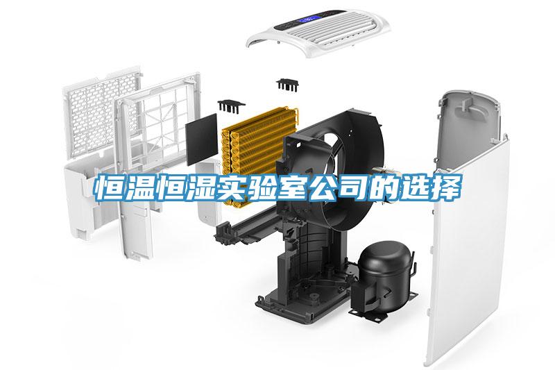 恒溫恒濕實(shí)驗(yàn)室公司的選擇