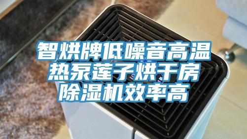 智烘牌低噪音高溫?zé)岜蒙徸雍娓煞砍凉駲C(jī)效率高