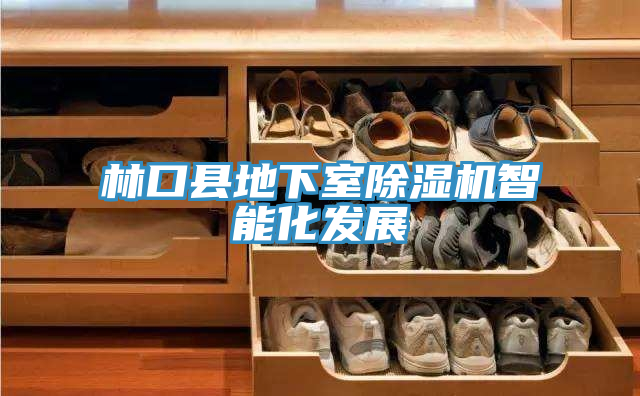 林口縣地下室除濕機(jī)智能化發(fā)展