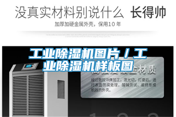 工業(yè)除濕機(jī)圖片／工業(yè)除濕機(jī)樣板圖