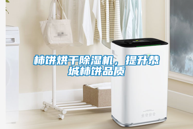 柿餅烘干除濕機，提升恭城柿餅品質