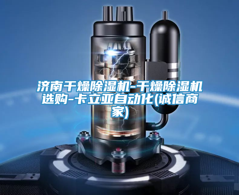 濟(jì)南干燥除濕機(jī)-干燥除濕機(jī)選購-卡立亞自動化(誠信商家)
