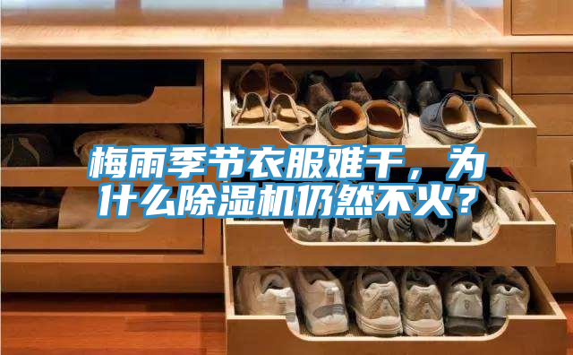梅雨季節(jié)衣服難干，為什么除濕機仍然不火？