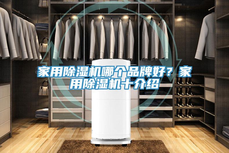 家用除濕機哪個品牌好？家用除濕機十介紹