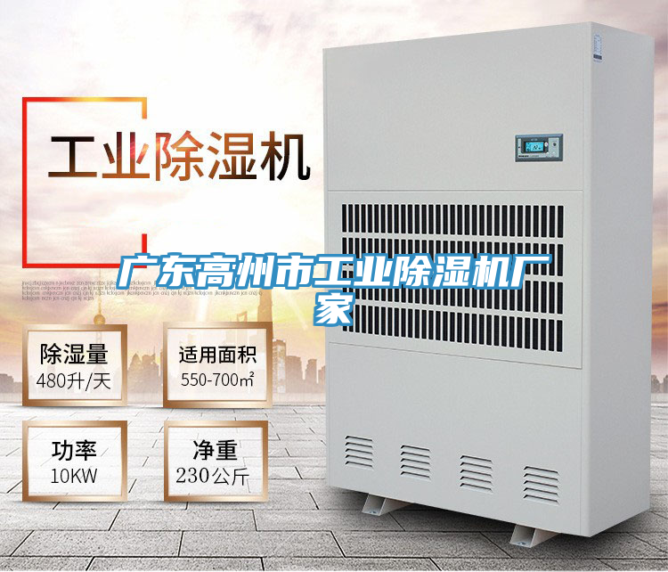 廣東高州市工業(yè)除濕機廠家