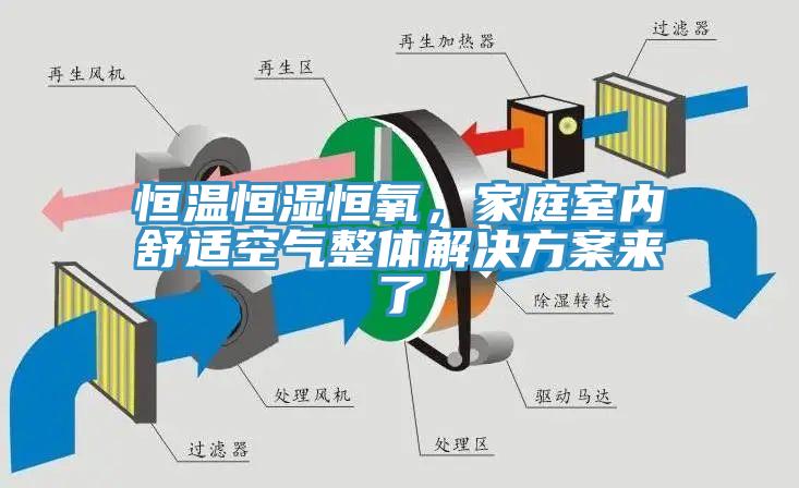 恒溫恒濕恒氧，家庭室內(nèi)舒適空氣整體解決方案來了