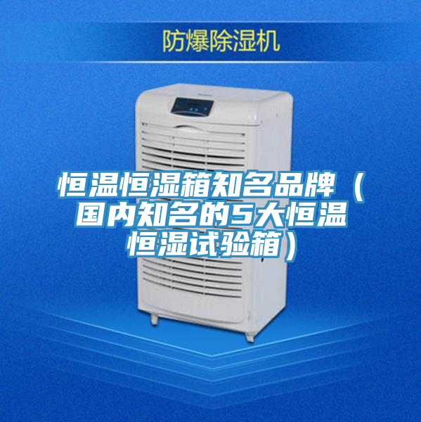 恒溫恒濕箱知名品牌（國內(nèi)知名的5大恒溫恒濕試驗(yàn)箱）