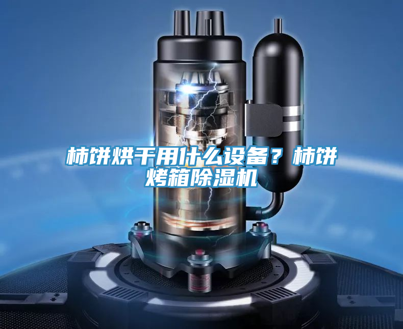 柿餅烘干用什么設備？柿餅烤箱除濕機