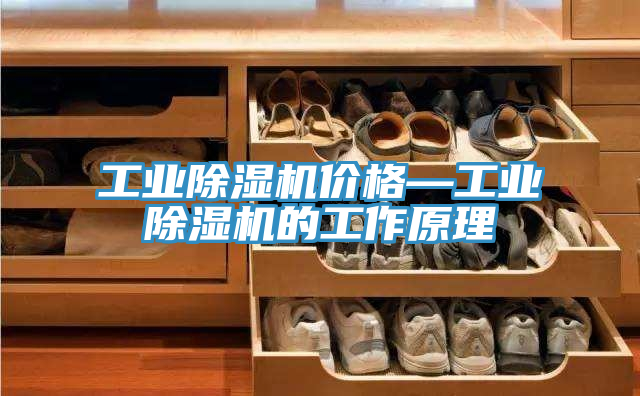 工業(yè)除濕機價格—工業(yè)除濕機的工作原理