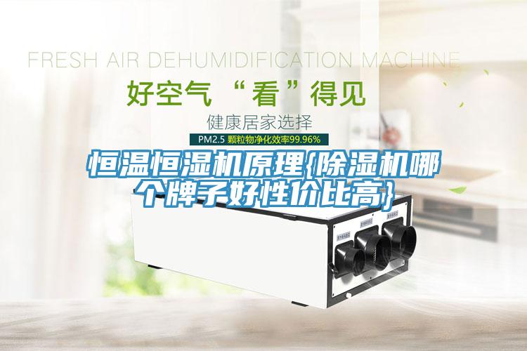 恒溫恒濕機(jī)原理{除濕機(jī)哪個(gè)牌子好性價(jià)比高}