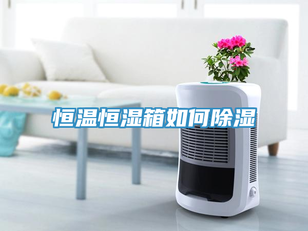 恒溫恒濕箱如何除濕