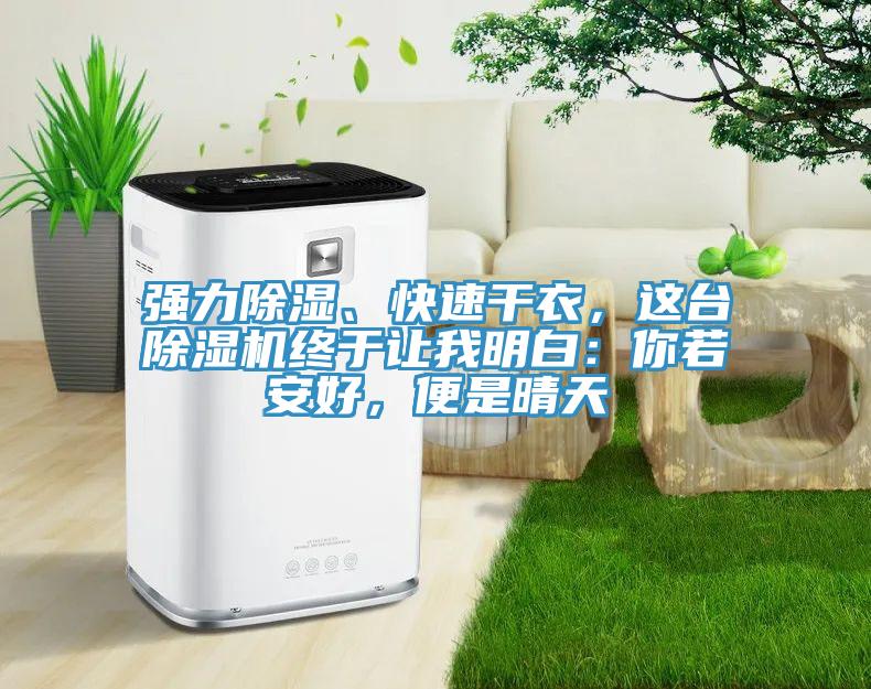 強(qiáng)力除濕、快速干衣，這臺(tái)除濕機(jī)終于讓我明白：你若安好，便是晴天