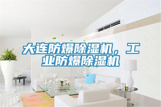 大連防爆除濕機(jī)，工業(yè)防爆除濕機(jī)