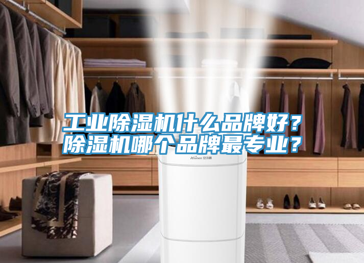 工業(yè)除濕機(jī)什么品牌好？除濕機(jī)哪個(gè)品牌最專(zhuān)業(yè)？