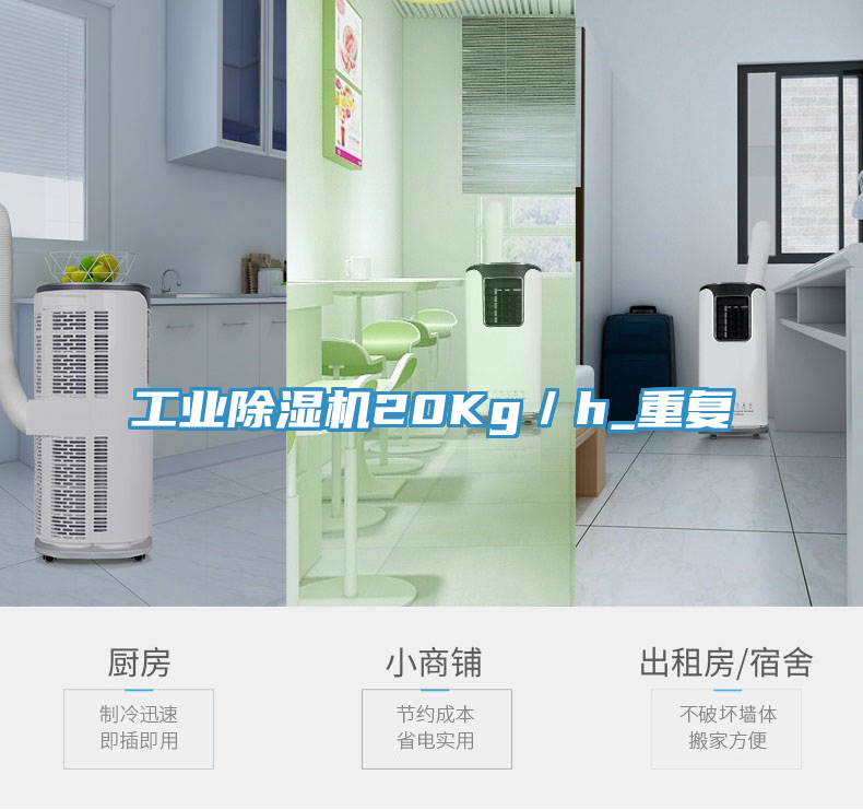 工業(yè)除濕機20Kg／h_重復(fù)