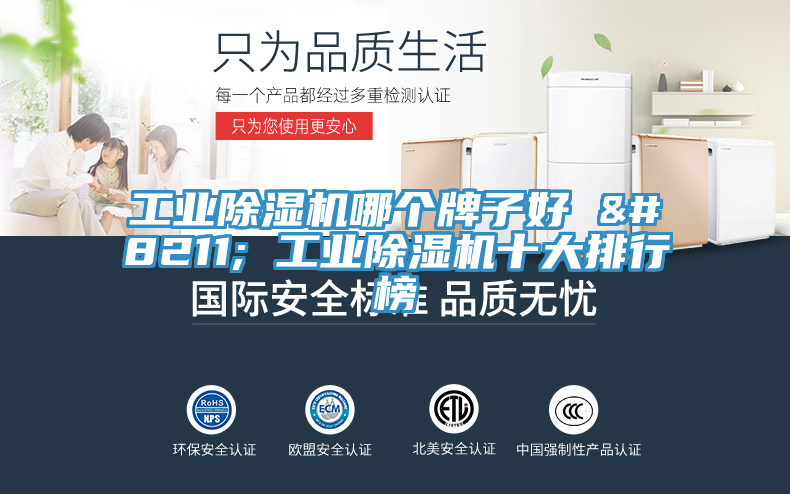工業(yè)除濕機(jī)哪個牌子好 – 工業(yè)除濕機(jī)十大排行榜