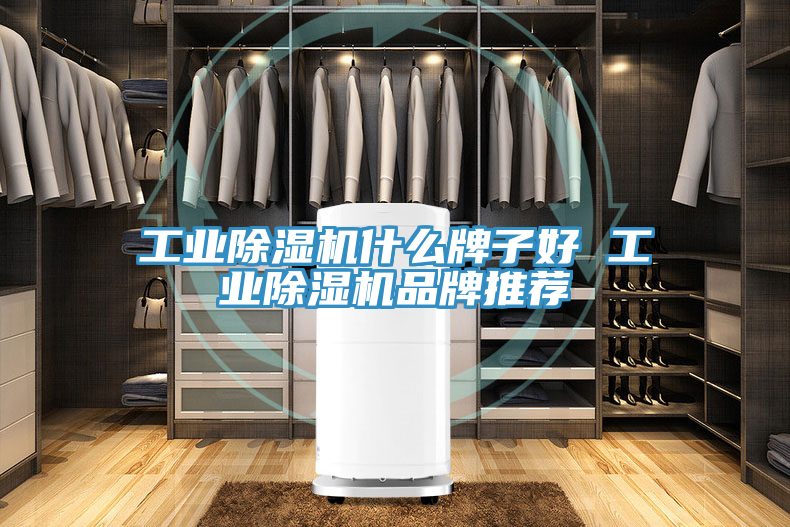 工業(yè)除濕機(jī)什么牌子好 工業(yè)除濕機(jī)品牌推薦