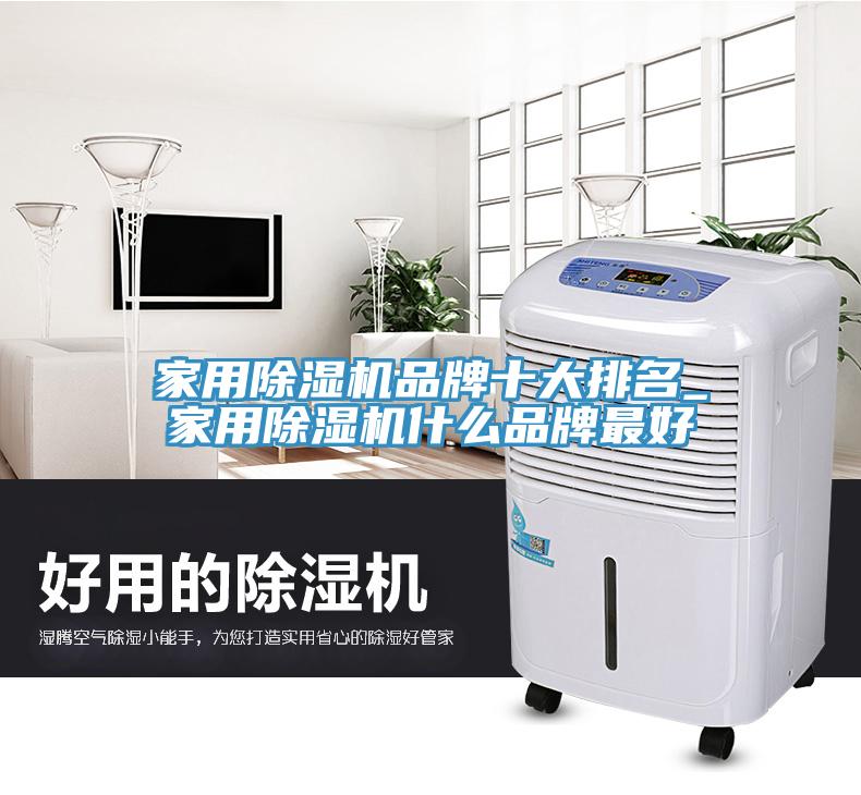 家用除濕機(jī)品牌十大排名_家用除濕機(jī)什么品牌最好