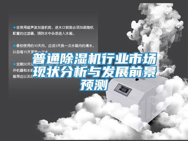 普通除濕機(jī)行業(yè)市場(chǎng)現(xiàn)狀分析與發(fā)展前景預(yù)測(cè)