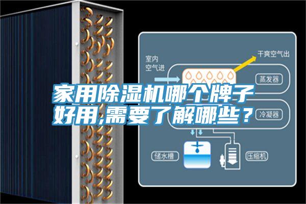 家用除濕機(jī)哪個(gè)牌子好用,需要了解哪些？