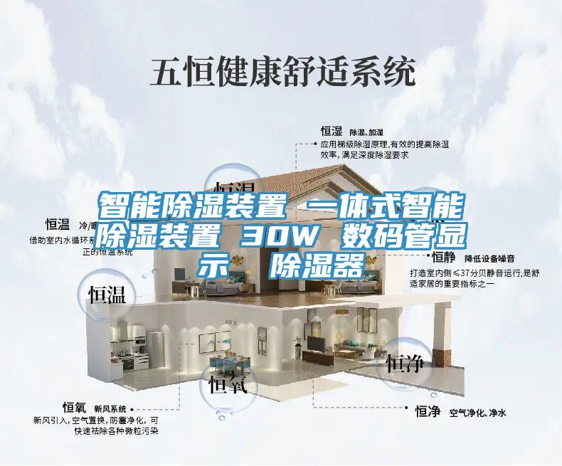 智能除濕裝置 一體式智能除濕裝置 30W 數(shù)碼管顯示  除濕器