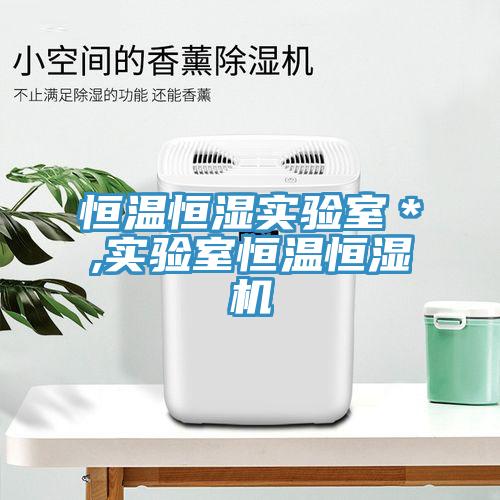 恒溫恒濕實驗室＊,實驗室恒溫恒濕機