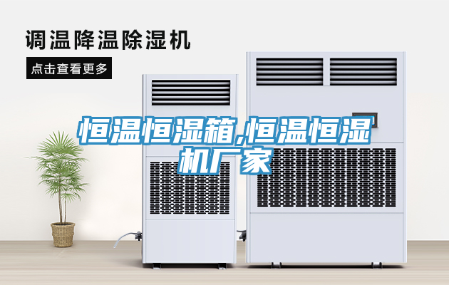 恒溫恒濕箱,恒溫恒濕機廠家