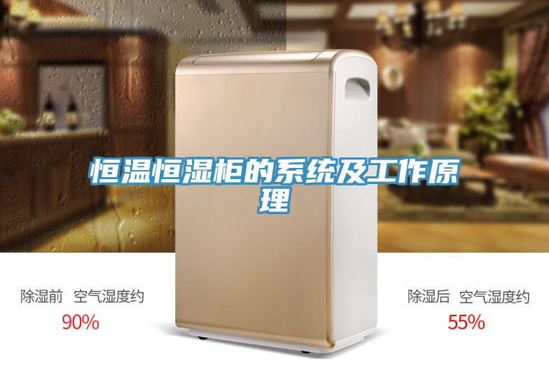 恒溫恒濕柜的系統(tǒng)及工作原理