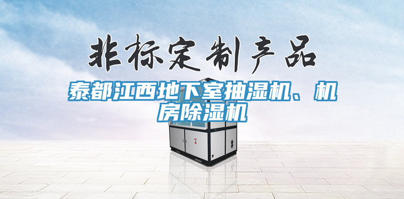 泰都江西地下室抽濕機(jī)、機(jī)房除濕機(jī)