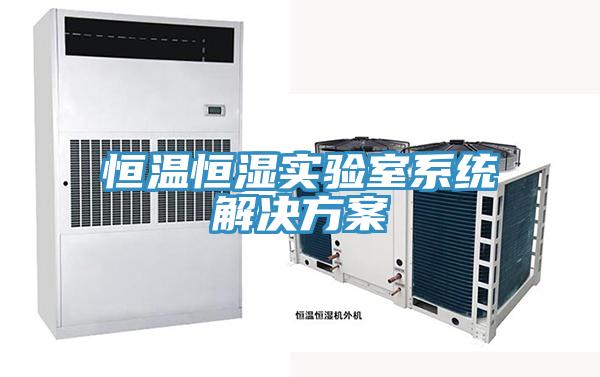 恒溫恒濕實驗室系統(tǒng)解決方案