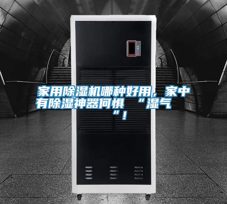 家用除濕機哪種好用，家中有除濕神器何懼 “濕氣 “！