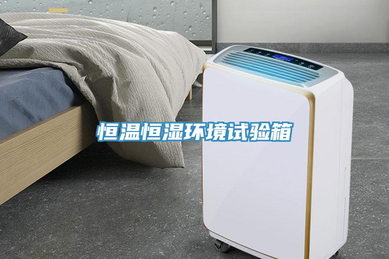 恒溫恒濕環(huán)境試驗箱