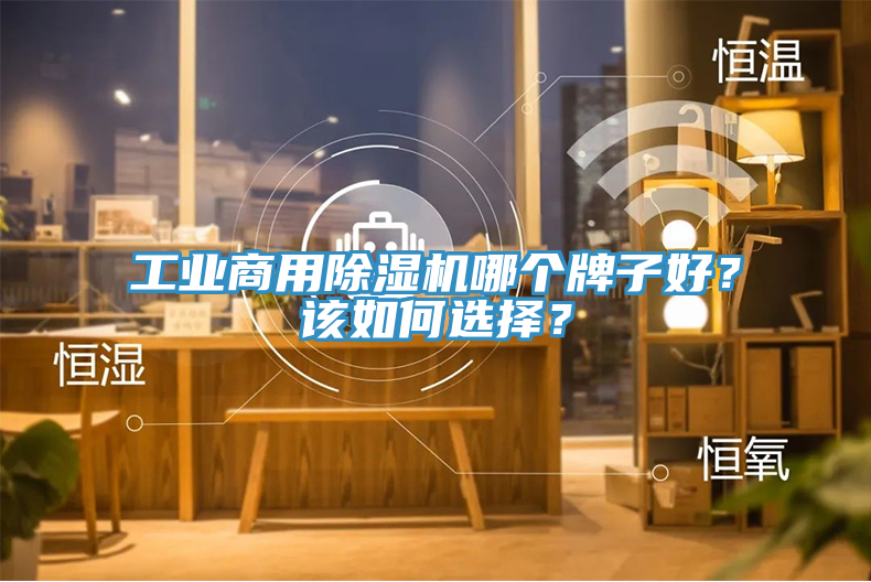 工業(yè)商用除濕機(jī)哪個(gè)牌子好？該如何選擇？