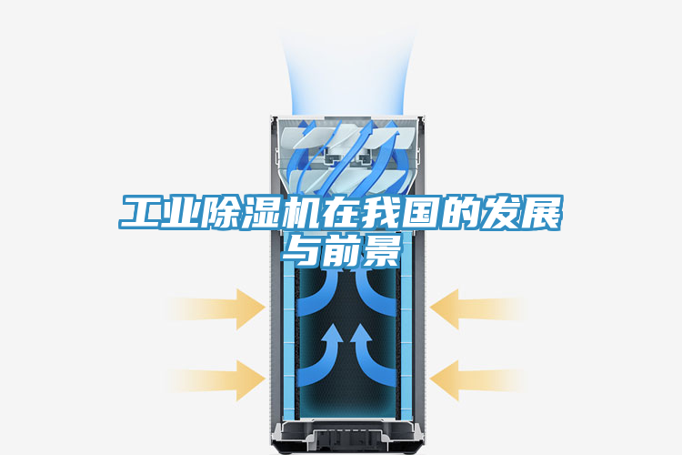 工業(yè)除濕機(jī)在我國(guó)的發(fā)展與前景