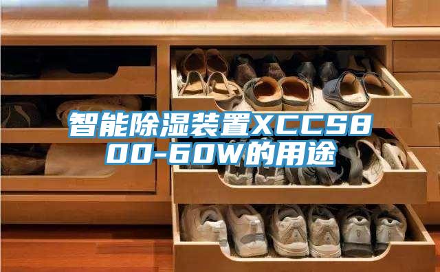 智能除濕裝置XCCS800-60W的用途