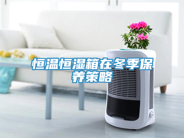 恒溫恒濕箱在冬季保養(yǎng)策略