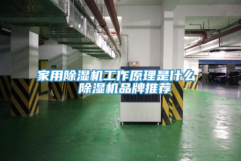 家用除濕機(jī)工作原理是什么  除濕機(jī)品牌推薦