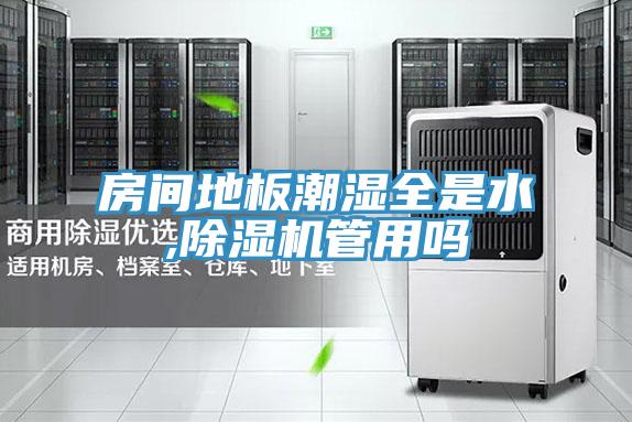 房間地板潮濕全是水,除濕機管用嗎
