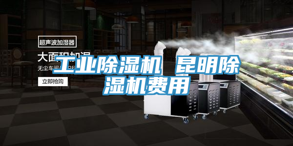 工業(yè)除濕機(jī) 昆明除濕機(jī)費(fèi)用
