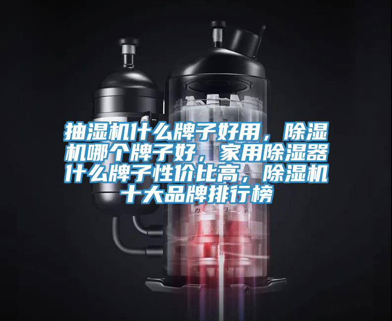 抽濕機(jī)什么牌子好用，除濕機(jī)哪個(gè)牌子好，家用除濕器什么牌子性價(jià)比高，除濕機(jī)十大品牌排行榜